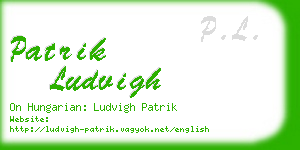 patrik ludvigh business card